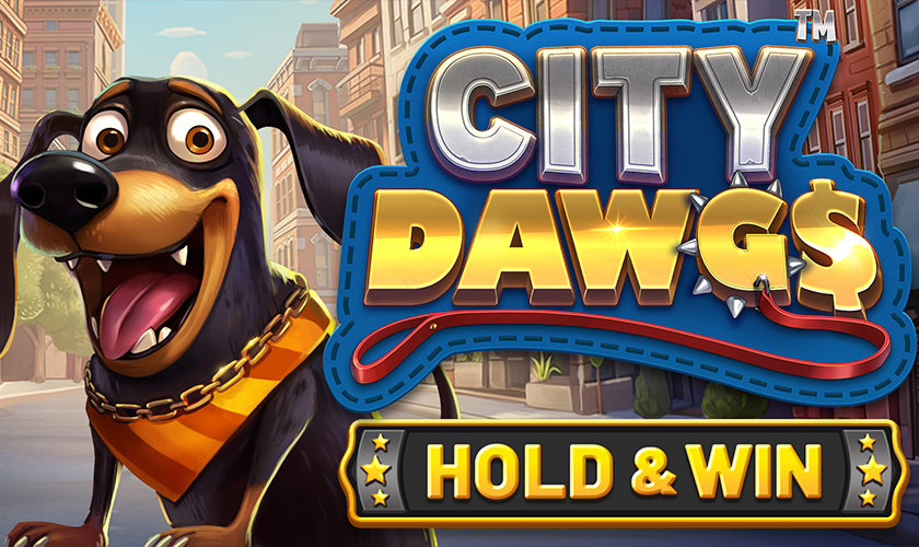 City Dawgs - Hold & Win
